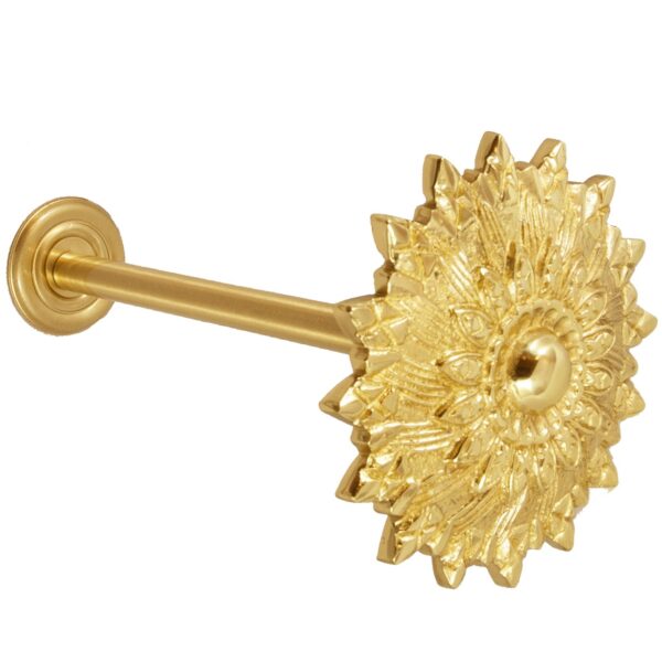 rozetka-dlya-shtor-achiliya